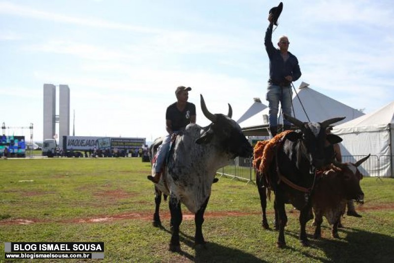 Protesto contra fim de vaquejadas muda rotina da Esplanada dos MinistÃ©rios 