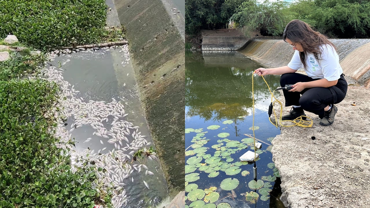 UFERSA analisa águas do Rio Mossoró para investigar mortandade de peixes