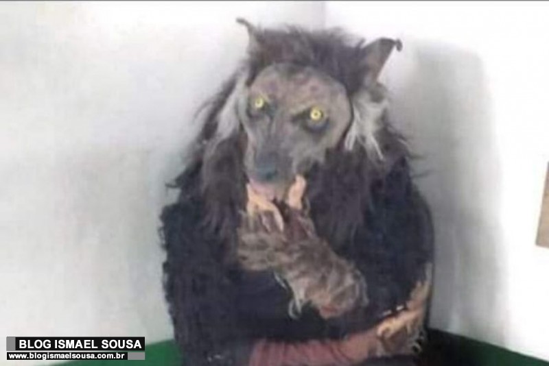 Tem um "lobisomem" Ã  solta em Carnaubais/RN