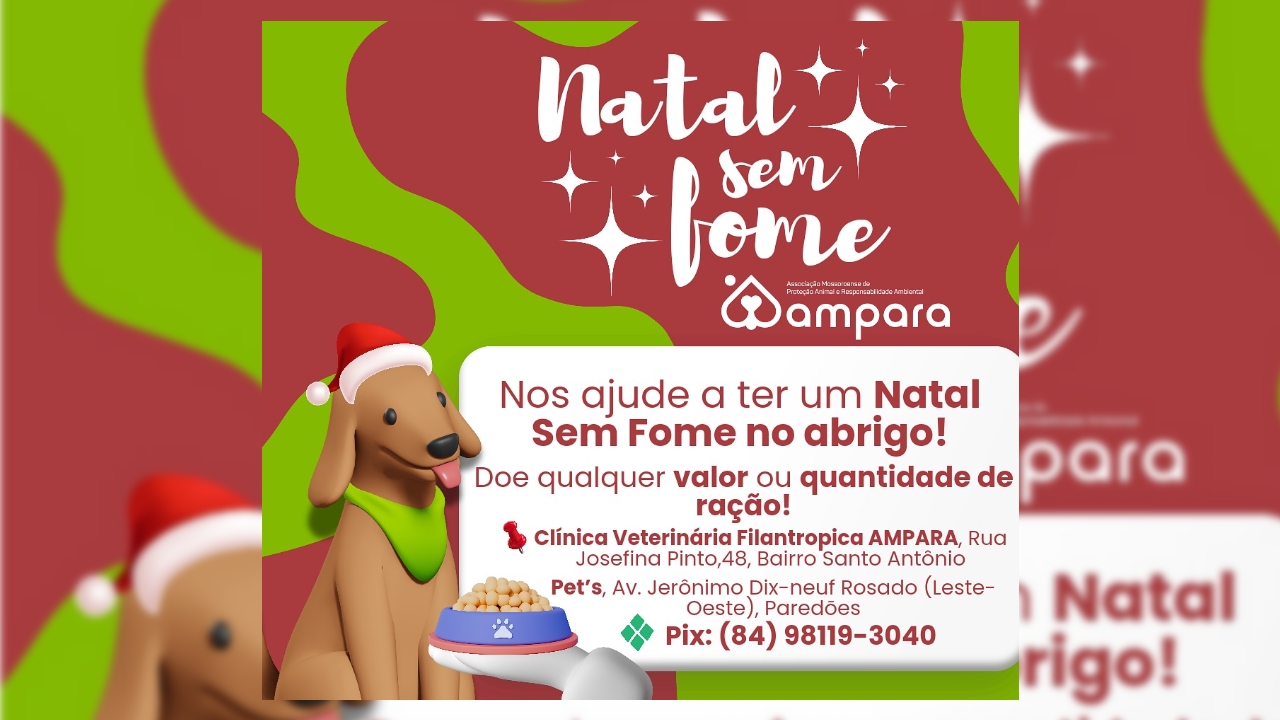 Instituto Ampara lança campanha 'Natal sem Fome' para ajudar animais acolhidos pela ONG em Mossoró