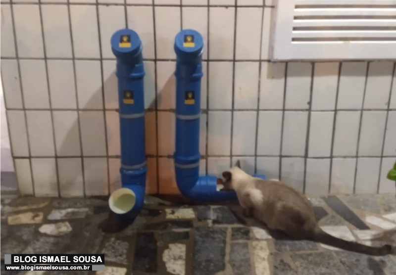 Petshop amplia projeto e espalha comedouros para animais abandonados em MossorÃ³