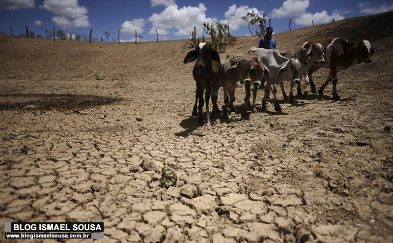 Governo decreta emergÃªncia pela seca no Estado