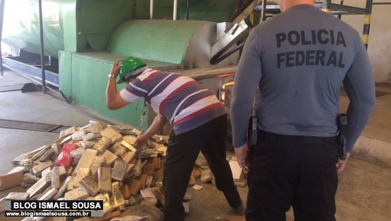 PF incinera quase meia tonelada de drogas em MossorÃ³