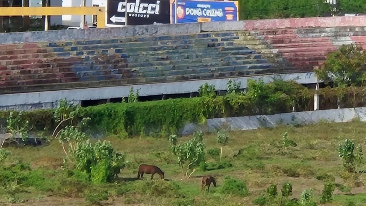 Ninguém se interessa por proposta milionária do Estádio Nogueirão