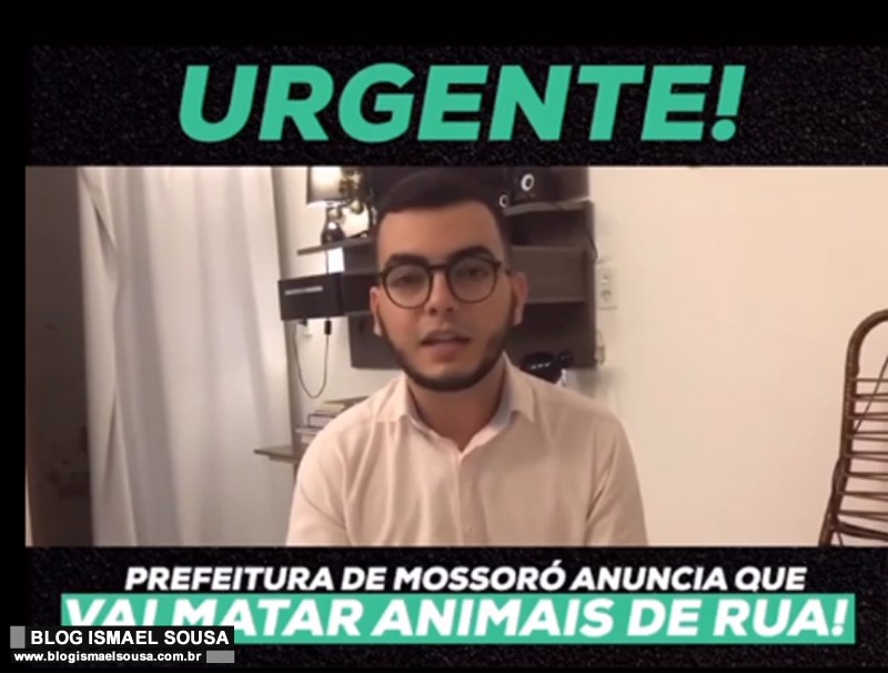 Ativista denuncia que Prefeitura de MossorÃ³ pretende matar animais de rua