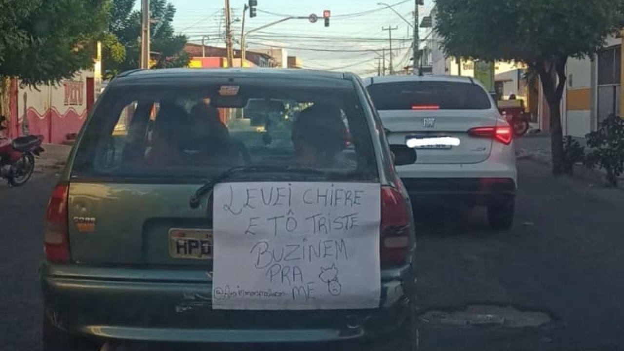 No País de Mossoró: Homem leva chifre e coloca cartaz no carro: 'Tô triste, buzinem pra me'
