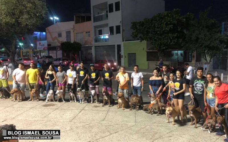 Para combater estereÃ³tipos, criadores de cÃ£es pitbull farÃ£o caminhada noturna em MossorÃ³