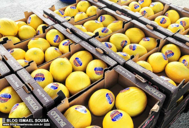 Expofruit começa hoje e deve movimentar R$ 60 milhões em negócios