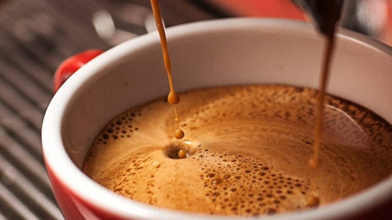 1° Festival de Café do RN acontecerá na serra de Martins no final de agosto