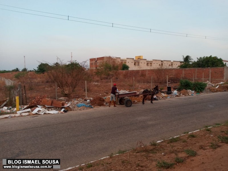 Moradores reclamam de descarte irregular de lixo em terreno abandonado no AboliÃ§Ã£o IV
