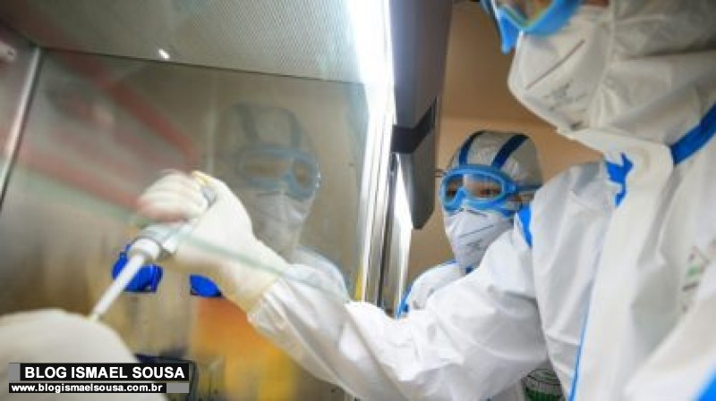 Medicamento usado contra piolhos mostra resultados positivos no combate ao coronavÃ­rus
