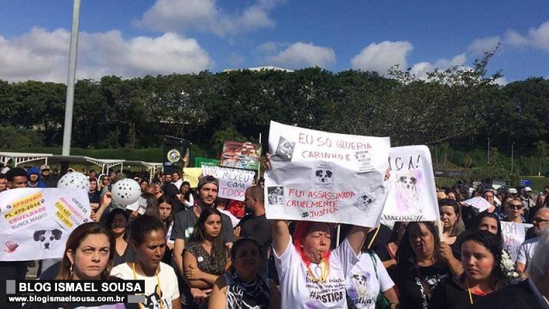 Manifestantes fazem manifestaÃ§Ã£o na porta do Carrefour em funÃ§Ã£o da morte de cadela