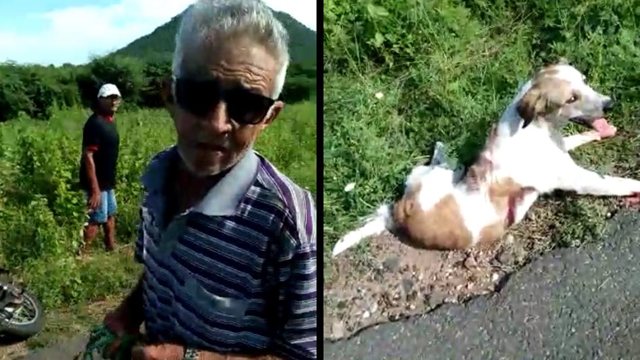 Crueldade: Homem é preso após amarrar cachorro em motocicleta e arrastá-lo por rodovia