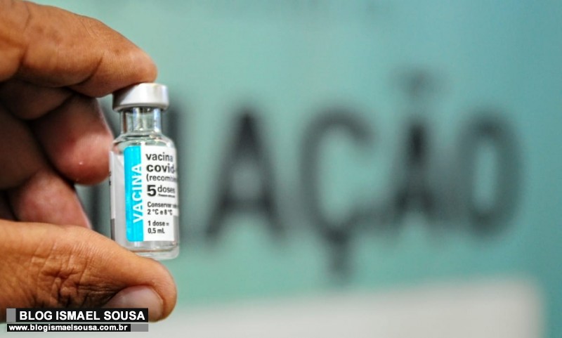 Mossoró recebe 342 doses da Pzifer e segue com vacinação das grávidas e puérperas