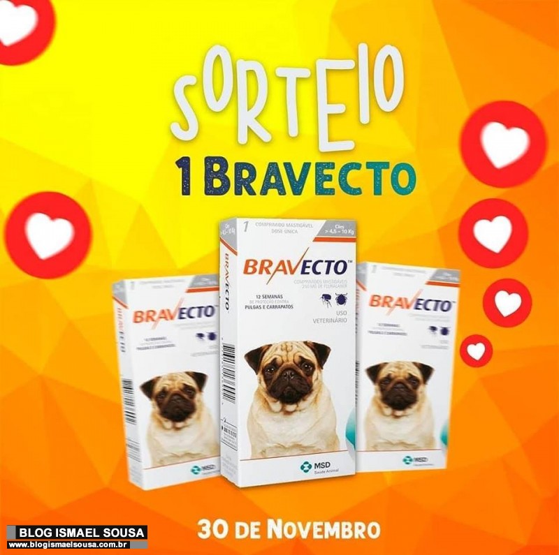 Sorteio Bravecto no Reino Animal
