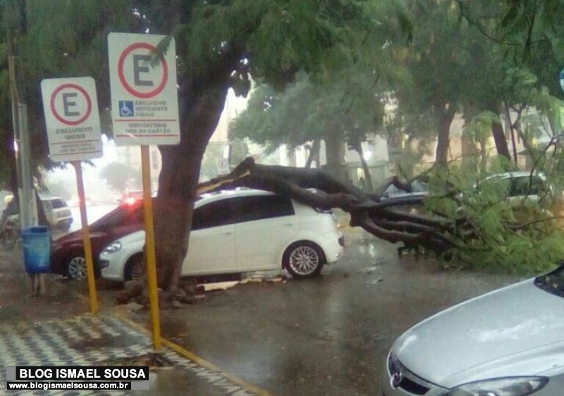 Forte chuva derruba Ã¡rvore em cima de veÃ­culo no Centro de MossorÃ³