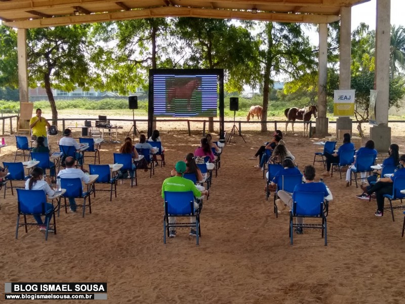 Inédito no RN, Curso de Equoterapia possibilita ampliação de terapias para reabilitação de pessoas com deficiência