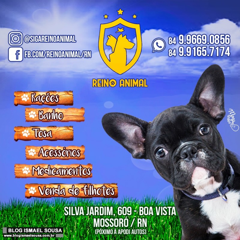 PromoÃ§Ãµes durante a semana do Pet Shop Reino Animal