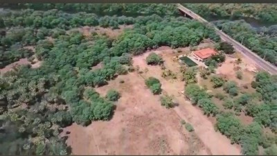 Empresário doa terreno na Leste-Oeste para Potiguar construir CT