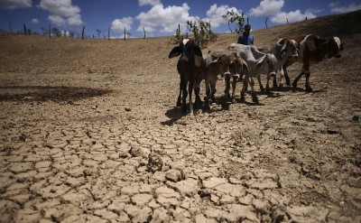Governo decreta emergÃªncia pela seca no Estado