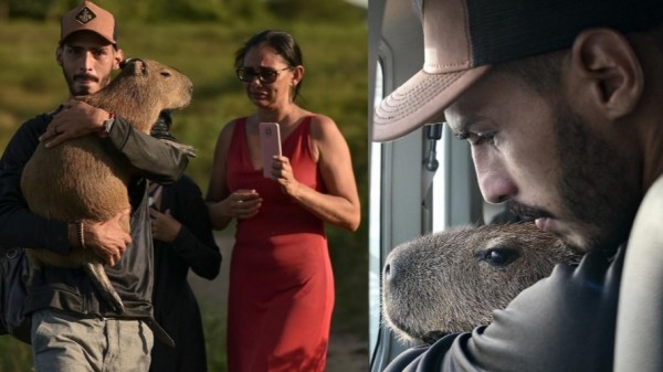 O brasileiro confia mais em uma capivara do que no trabalho do IBAMA