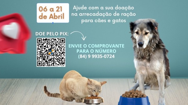 Campanha Amigo dos Animais arrecada ração para cães e gatos de rua