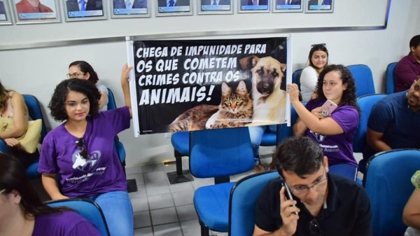 Causa animal caminha para ficar sem representatividade na Câmara de Mossoró