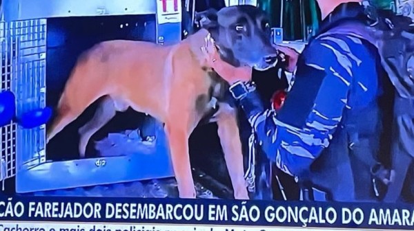 Agora vai: os Caramelos chegaram ao RN