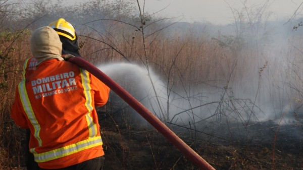 Bombeiros do RN atendem 24 ocorrências de incêndio em vegetação no fim de semana