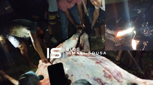 Após acidente, moradores retalham boi atropelado para roubar a carne em Mossoró
