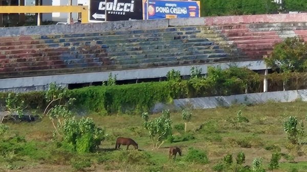 Novo estádio some do debate e futebol de Mossoró vira promessa vazia