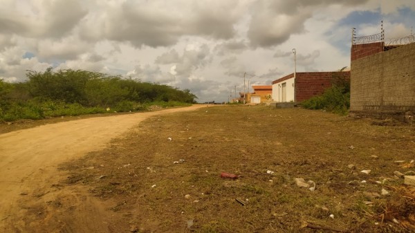 A pedido do vereador Edson Carlos, PMM faz mutirão de limpeza no Parque Universitário