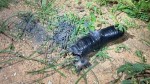 Terrorismo: Bomba é encontrada após partida entre Potiguar e América no Nogueirão