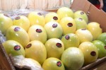 Expofruit 2021 anuncia programação que contará com a participação de empresas globais
