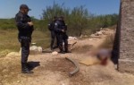Corpo de ex-detento Ã© encontrado crivado de balas em MossorÃ³