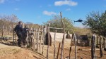 Policia prende mais dois suspeitos das mortes de prefeito e pai em João Dias
