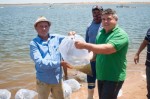 Dnocs entrega peixes para recria na Barragem de Umari em Upanema