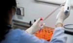 Taxa de transmissÃ£o de Covid-19 cai e pandemia desacelera no Brasil 