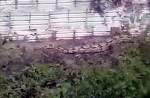 Moradores do Nova MossorÃ³ estÃ£o assustados com o aparecimento de cobras