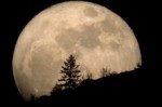 Maior superlua em quase 70 anos pode ser observada nesta segunda-feira
