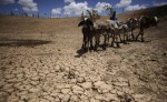 Governo decreta emergÃªncia pela seca no Estado