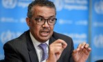 OMS se desculpa por controvÃ©rsias em pesquisas sobre hidroxicloroquina
