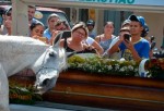 Cavalo se despede do dono morto em acidente e comove velÃ³rio
