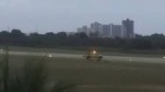 Em Nota, Infraero afirma que cães que invadiram pista do Aeroporto de Mossoró não foram feridos ou mortos