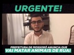 Ativista denuncia que Prefeitura de MossorÃ³ pretende matar animais de rua