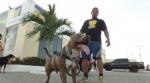 Passeio reÃºne criadores de cÃ£es da raÃ§a pitbull na Nova MossorÃ³
