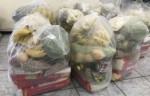 MÃ£es reclamam de atrasos na entrega dos kits de merenda escolar para estudantes de MossorÃ³