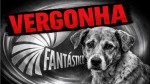 Fantástico ignora investigação profunda e banaliza morte brutal do cão Orelha