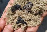Manchas de Ã³leo jÃ¡ atingem praias de Tibau e Grossos