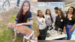 Projeto “Patas Novas” transforma vidas de animais com deficiência por menos de R$ 30